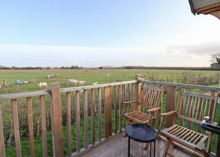 The Egyptologist * York