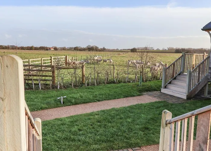 The Egyptologist Nyaraló *