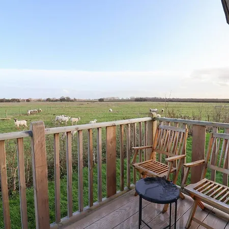 The Egyptologist * York