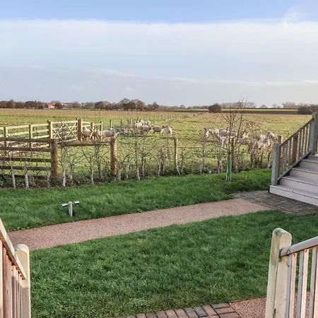 The Egyptologist Nyaraló *